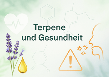 Terpene und Gesundheit – gesund, bedenklich oder allergen?