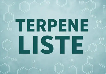 Alle wichtigen Terpene im Überblick