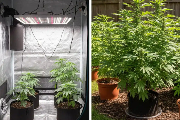 Indoor oder Outdoor – Was passt zu dir?