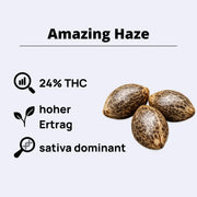 Amazing Haze Feminisierte Samen