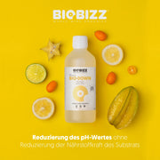 Biobizz | Bio Down pH-Wert Regulator