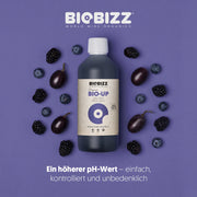 Biobizz | Bio Up pH-Wert Regulator