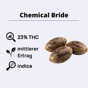 Chemical Bride feminisierte Samen mit 23% THC und mittlerem Ertrag