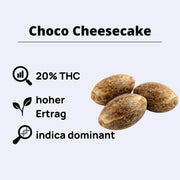 Choco Cheesecake Feminisierte Samen