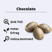 Chocolato Feminisierte Samen