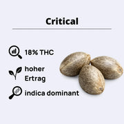 Critical feminisierte Samen