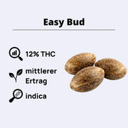 Easy Bud Autoflowering Samen mit 12% THC, mittlerer Ertrag und indica Eigenschaften.