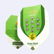 Verpackung von Easy Bud Autoflowering Samen von Royal Queen Seeds mit Samen sichtbar