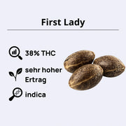 First Lady Feminsierte Samen - Anesia Seeds