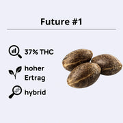 Future #1 Feminsierte Samen - Anesia Seeds