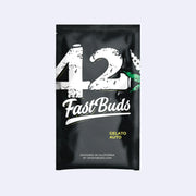 Gelato Autoflowering Samen