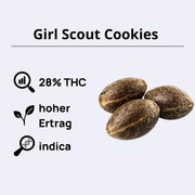 Girl Scout Cookies feminisierte Samen mit 28% THC, hohem Ertrag und Indica-Anteil.