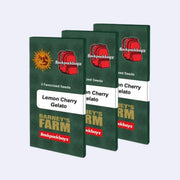 Drei Packungen mit feminisierten Samen von Lemon Cherry Gelato von Barneys Farm und Backpackboyz