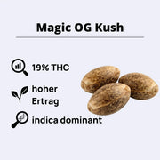 Magic OG Kush Feminisierte Samen