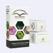 Melonade Runtz Autoflowering Samen