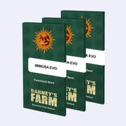 Mimosa Evo feminisierte Samen von Barneys Farm, Verpackung in grünem Design mit Sonne.