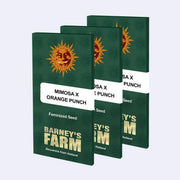Mimosa Orange Punch feminisierte Samen von Barneys Farm in grünen Verpackungen
