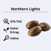 Northern Lights Samen mit 21% THC, hohem Ertrag und indica Eigenschaften.
