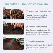 Original Afghan Kush Autoflowering Samen