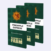 Pineapple Express feminisierte Samen von Barneys Farm in einer attraktiven Verpackung.