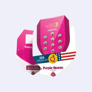 Purple Queen feminisierte Samen