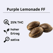 Purple Lemonade FF Feminisierte Samen - 420 Fast Buds