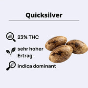 Quicksilver Feminisierte Samen