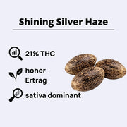 Shining Silver Haze feminisierte Samen