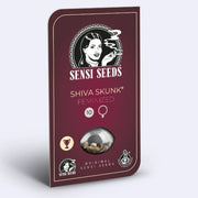 Verpackung mit Shiva Skunk feminisierten Samen von Sensi Seeds, bietet 10 Samen in hochwertiger Qualität.