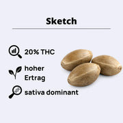 Sketch Feminisierte Samen