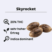 Skyrocket Feminisierte Samen
