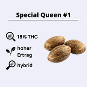 Special Queen #1 feminisierte Samen