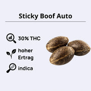 Sticky Boof Autoflowering Samen - Anesia Seeds