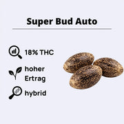 Super Bud Autoflowering Samen mit 18% THC, hohem Ertrag und hybrid Eigenschaften.
