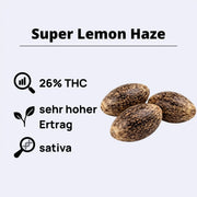 Super Lemon Haze Samen mit 26% THC und hohem Ertrag, sativa Sorte von Green House Seeds.